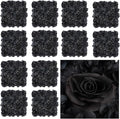 12 Pack Flower Wall Backdrop, 15x15 Inch Artificial Flower Wall Panels Black 3D Floral Backdrop Walls Silk Hydrangea Rose Walls for Decor Wedding Party