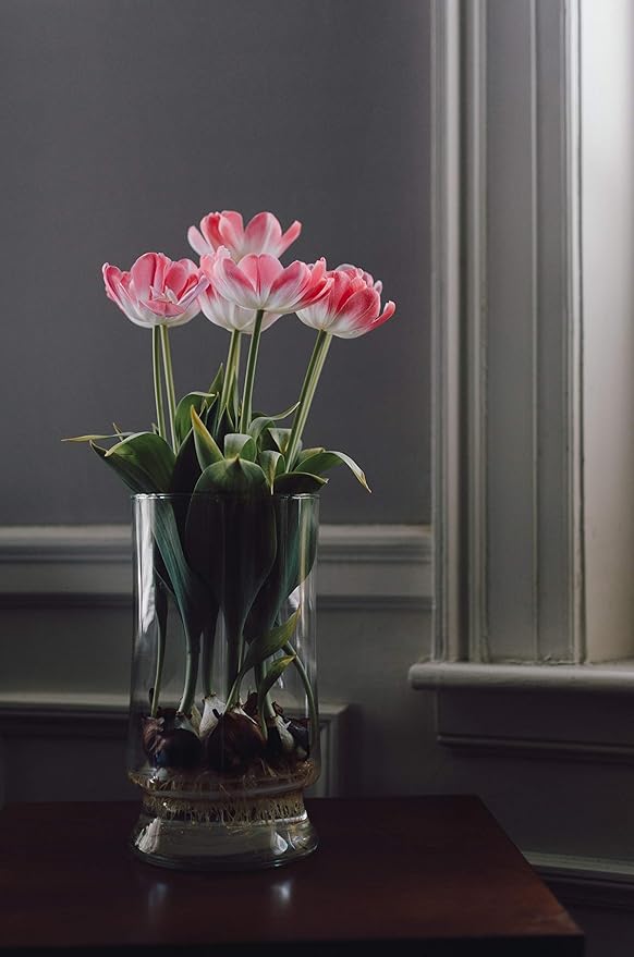 WGV Unique Bouquet Vase Bulk, 5.5" W, 8" H, Clear Short Hurricane Glass Candle Holder, Floral Planter Terrarium, Home Wedding Event Decor, 12 Pieces (VHV0808)