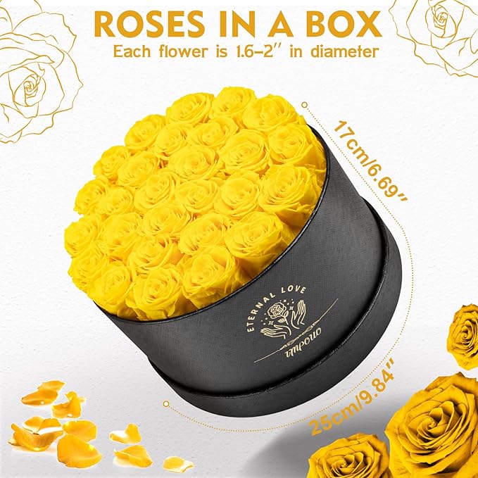 Forever Flowers 27 Roses in A Box, Real Preserved Roses, Birthday Gift for Women, Mother's Day, Anniversary Day - Yellow Rose