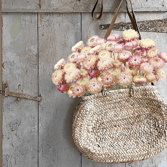 20 Pcs Natural Dried Daisy Flowers Bouquet Dried Flower Pink Daisies Dried Sunflowers Chrysanthemum with Stem for Wedding Farmhouse Table Vase Decor Home DIY Flower Arrangement