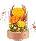 Eterfield Flowers for Delivery Prime, Christmas Preserved Roses Gifts for Women - Forever Flower in Glass Dome Birthday Gifts for Mom Wife Grandma Her Valentine’s Day (Yellow, Cylindrical)