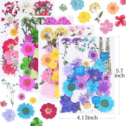 141Pcs Colorful Dried Pressed Flowers for Crafts,Xinxinran Dry Flowers Kit for Resin Molds,Epoxy Resin Accessories,Bookmark,Nails, Jewelry Molds,Candle Making Supplies,Soap,Frame(Mix Color)