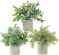 3 Pack Life-Like Potted Fake Plant, Artificial Plants Indoor, Artificial Frost-Hung Green Plants,Eco-Friendly Gray Pot, No Need for Maintenance，Ideal Decor for Home and Office