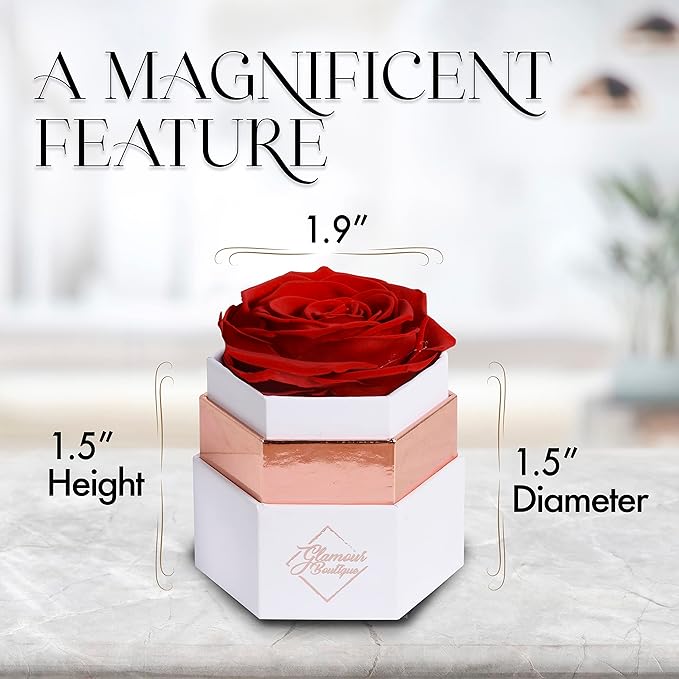 GLAMOUR BOUTIQUE Eternal Preserved Roses in a Box - Flowers Forever, Rose Forever in a Box for Wife, Birthday Gifts for Her, Single Rose, Red