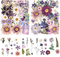80PCS Natural Color Pressed Dried Flowers Dry Leaves with Tweezers - Real Pressed Flowers for DIY Crafts, Resin Jewelry, Cards, Soap, CandleMaking, Nail Art, and Scrapbooking (Natural Color)