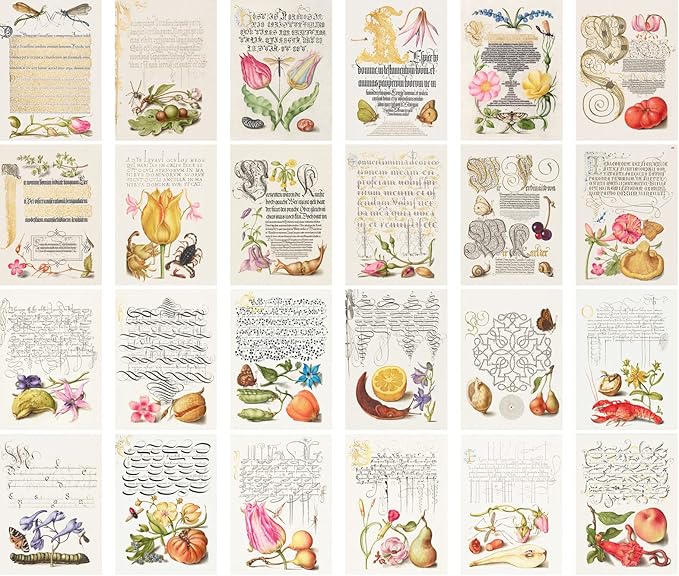 Large Stickers 24 pcs (2.5"x3.5" Each) Antique Calligraphy Book Illustration Vintage Postcards Retro Greeting Card Reprint