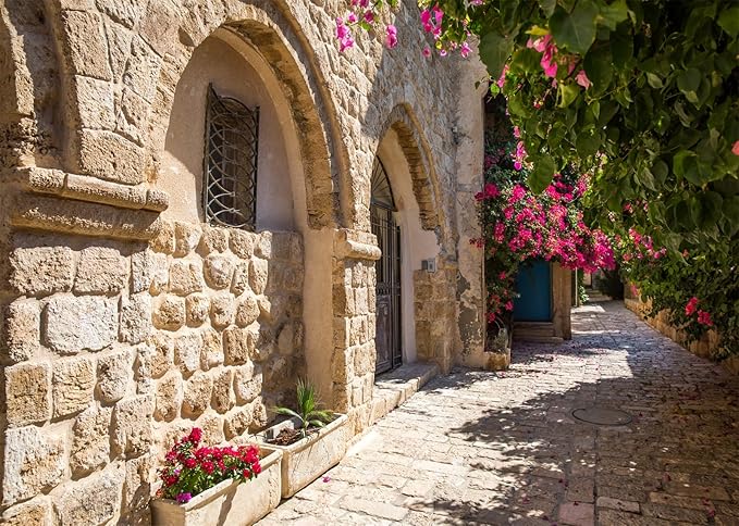 7x5ft Fabric Old Stone Street Backdrop Jerusalem Ancient Narrow Street with Blooming Flowers Israel Background Ancient Stone Wall Backdrop Photoshoot Studio Props