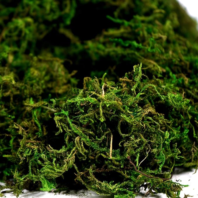BYHER Artificial Moss Fake Green Grass for Centerpieces Home Kitchen Garden Decor (3.5OZ, Fresh)