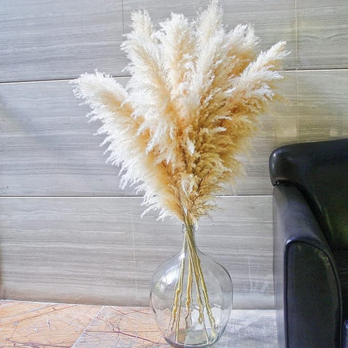 10 Stems 46" inch Dried Pampas Grass Decor Tall, Large Pompas Grass, Boho Neutral Home Decor Bouquet, Fluffy Pampass Grass for Floor Vase Wedding Floral Arrangements Wall Farmhouse Table Decor