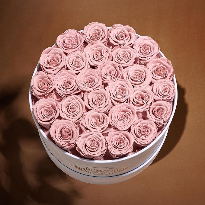 27 Flowers in a Luxury Suede Box, Birthday Gifts for Women, Preserved Flowers, Mothers Day Roses Gift for Mom, Dusty Rose