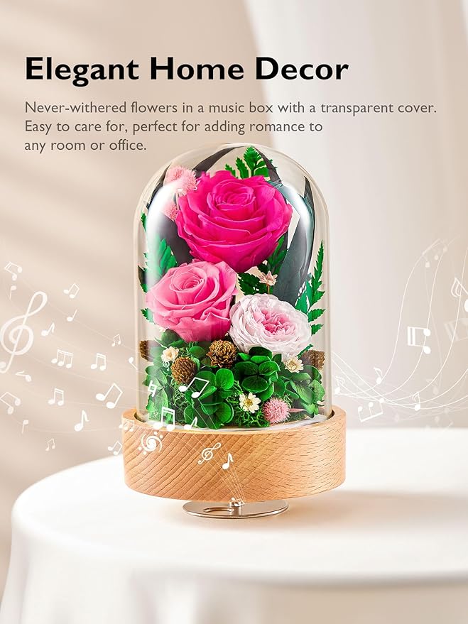Eterfield Flowers for Delivery Prime, Christmas Preserved Roses Gifts for Women - Forever Flower in Glass Dome Birthday Gifts for Mom Wife Grandma Her Valentine’s Day (Hot Pink, Cylindrical)