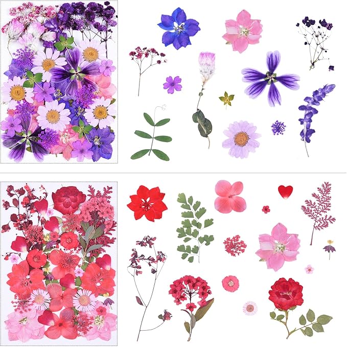 146Pcs Dried Pressed Flowers for Crafts,Xinxinran Dry Flowers Kit for Resin Molds,Epoxy Resin Accessories,Bookmark,Nails, Jewelry Molds,Candle Making Supplies,Soap,Frame