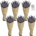 6 Packs Natural Dried Lavender Flowers Bouquet with Stems (14-17 Inches, 540-600 Stems Total) - Home Fragrance for Drawers, Wedding Decor & Photography Props, DIY Crafts Supplies & ,Gifts for Her