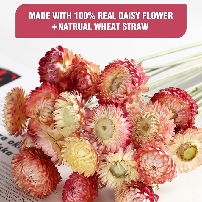 MIHUAGE Dried Flower 40PCS Daisy Bouquet 100% Natural Chrysanthemum Dry Flower for Vase Home décor Party DIY Arrangement Wheat Straw Bulk (Light Purple)