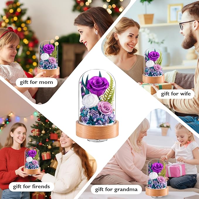 Eterfield Flowers for Delivery Prime, Christmas Preserved Roses Gifts for Women - Forever Flower in Glass Dome Birthday Gifts for Mom Wife Grandma Her Valentine’s Day (Purple, Cylindrical)