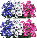 QIANYUN Fake Flowers-12in Pansy Small Wild Flower Daisy 6 Bundles Faux Plastic Purple Flowers for Home Wedding Kitchen Garden Table Centerpieces Indoor Outdoor Decor (Red White Blue)