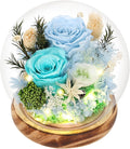 Preserved Flowers Bouquets Unique Rose Preserved Flower Gifts in Glass Dome for Women,Wife, Grandma Suitable for Birthday, Mother’s Day, Valentine’s Day, Anniversary, Christmas