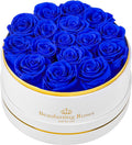 Preserved Roses Forever Flowers Real Roses in a Box Mother's Day Birthday Flowers for Her Mom Women Wife Valentine's Day, 16 Royal Blue Roses