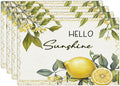 Lemon Iris Summer Placemats Set of 4, Rustic Fruit Place Mats, Country Hello Sunshine Dining Table Mats, Washable Placemats for Kitchen Dining Room Home Decor 18L'' × 12W''