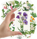 Large Stickers 24 pcs (2.5"x3.5" Each) Garden Flowers and Wildflowers Antique Botannical Book Illustration Vintage Postcards Retro Greeting Card Reprint