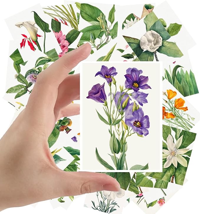 Large Stickers 24 pcs (2.5"x3.5" Each) Garden Flowers and Wildflowers Antique Botannical Book Illustration Vintage Postcards Retro Greeting Card Reprint