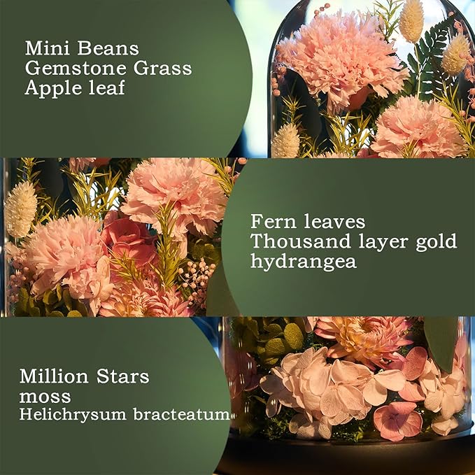 Preserved Roses,Forever Fresh Flowers 7.48in,Gift for Women,Mom,Grandma,Wife,Girlfriend,Sister,and Daughter Perfect for Birthday,Mother’s Day,Valentine’s Day (Thankful Pink3)