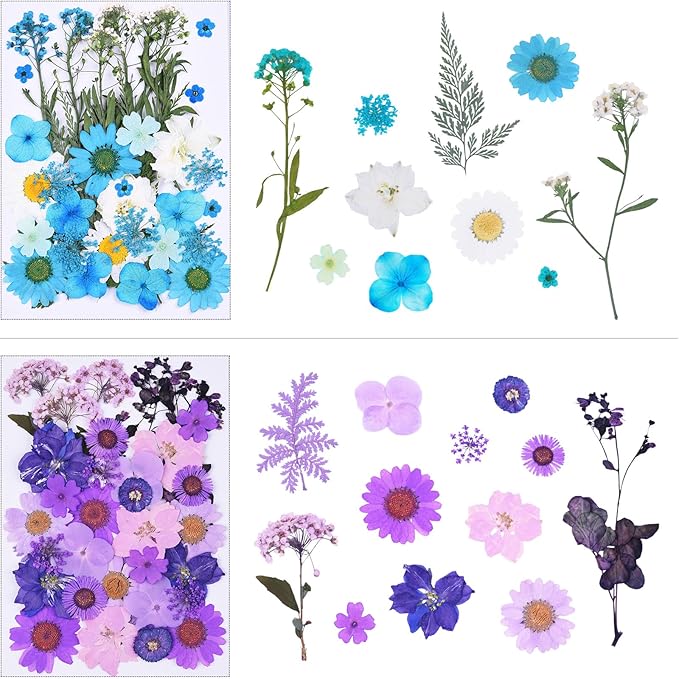 146Pcs Dried Pressed Flowers for Crafts,Xinxinran Dry Flowers Kit for Resin Molds,Epoxy Resin Accessories,Bookmark,Nails, Jewelry Molds,Candle Making Supplies,Soap,Frame(Colorful)