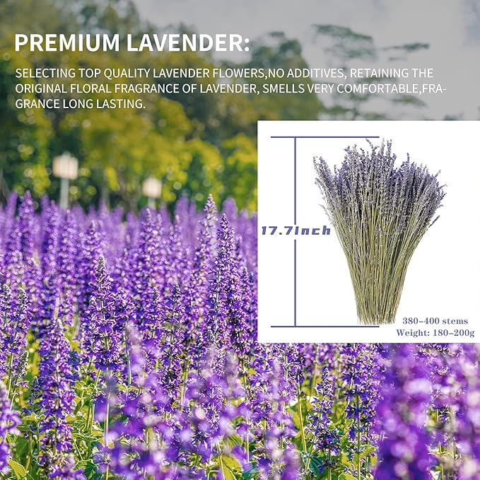 Dried Lavender Flowers Bundles 100% Natural Real Dry Flower for Home Decorations,Home Fragrance 350+ Stems