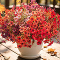 16 Bundles Artificial Fall Flowers, UV Resistant Faux Plants for Outdoor Decor - Fake Greenery for Porch, Patio, Garden, Thanksgiving Christmas Home Decoration (Mixed Colors)