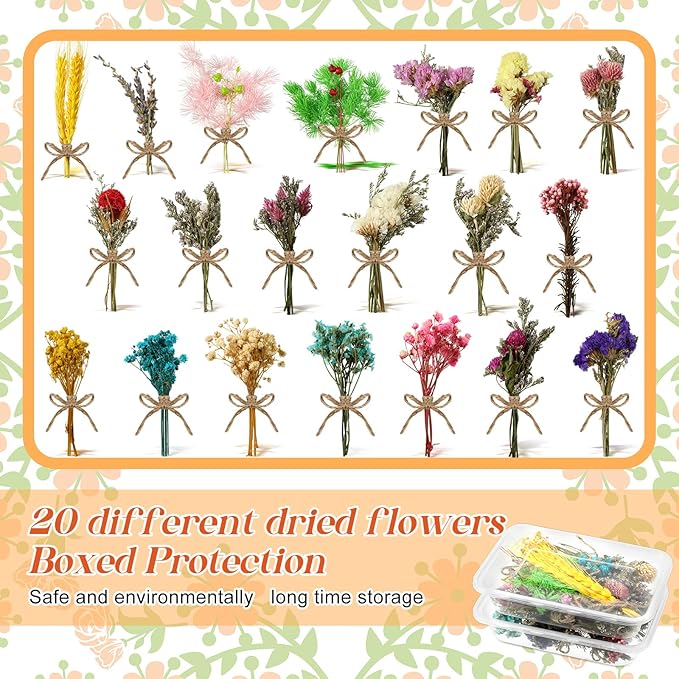 Chengu 20 Pcs Mini Dried Flowers Bouquets Natural Gypsophila Don't Forget Me Bouquets Dry Flower Leaves Dried Embossing Flower Plant Stem Bunch for Vase DIY Wedding Decoration Crafts Photo Props