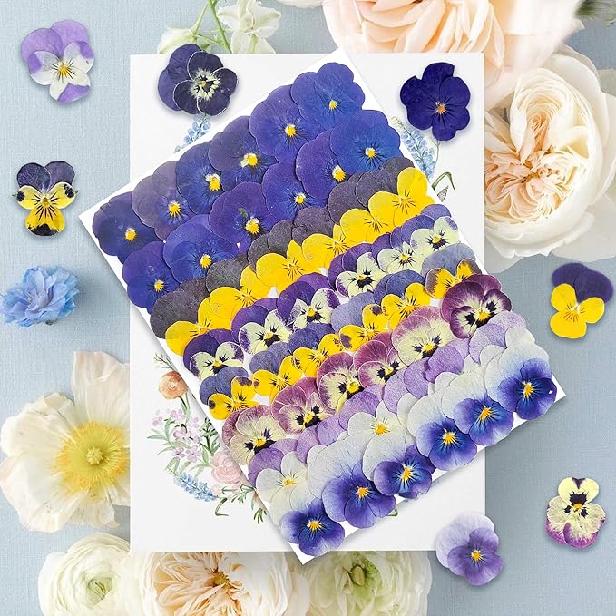 48 Pcs Real Natural Viola Pansy Dried Pressed Flowers - Delicate Multicolor Florals for Resin Jewelry, Candle Making, Frame Decor & DIY Crafts