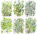 Botanical Leaf PET Stickers Set, 120PCS Transparent Plant Ephemera for Scrapbooking, Journaling, DIY Crafts, and Planner