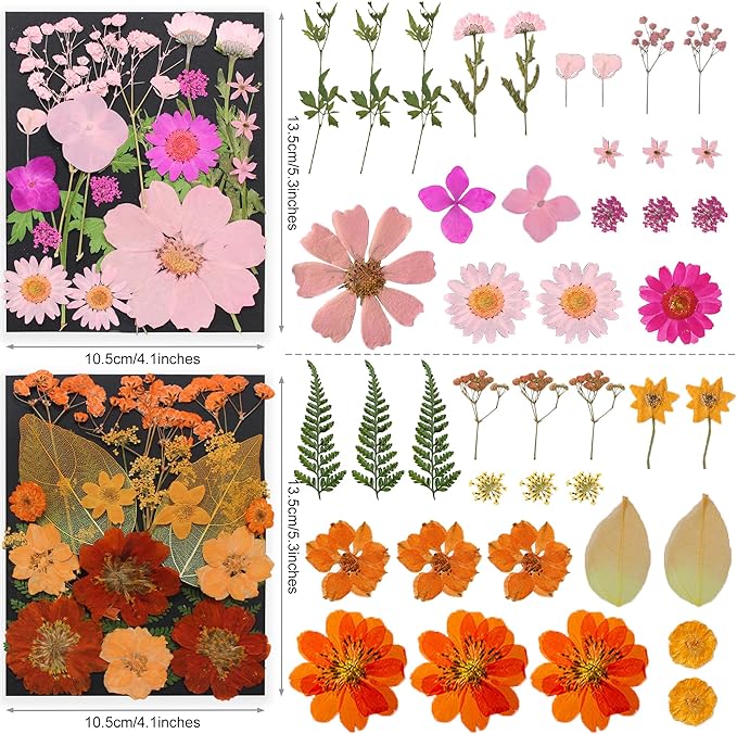 285Pcs 9 Packs Mixed Types Real Natural Dried Pressed Flowers & Leaves for Resin Molds, DIY Crafts, Jewelry Making + 100Pcs Butterfly Stickers + Tweezers