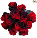 36 Stems - Fresh Cut Black and Red Roses from Flower Explosion
