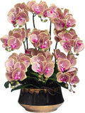CXGS Orchids Artificial Flower Real Touch Faux Orchid in Large Ceramic Vase 23.6'' Realistic PurpleSpots Fake Phalaenopsis Floral Arrangements Centerpiece Table Home Indoor Decor