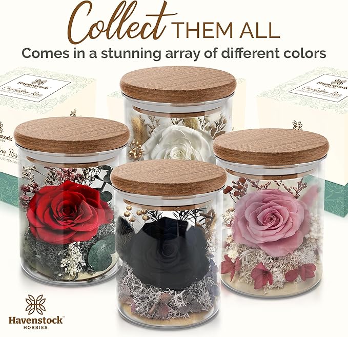 Black Rose Premium Eternal Roses - Real Preserved Rose in Glass Dome - Gothic Style Decor for Funeral Occasions