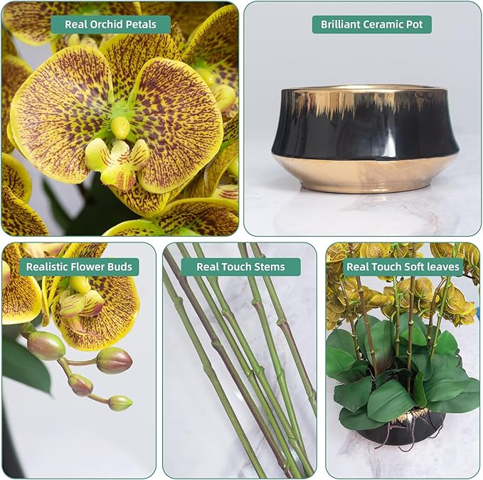 CXGS Orchids Artificial Flower Real Touch Faux Orchid in Large Ceramic Vase 23.6'' Realistic YellowSpots Fake Phalaenopsis Floral Arrangements Centerpiece Table Home Indoor Decor
