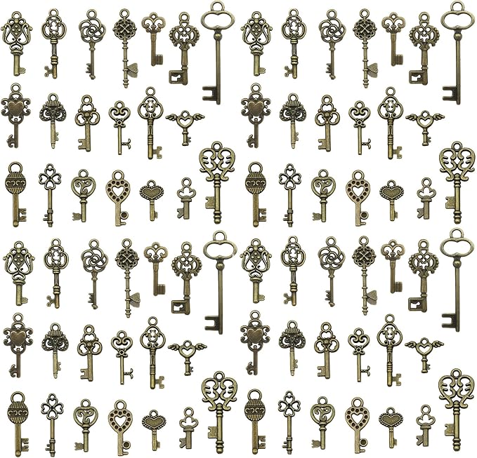 WOCRAFT 60pcs Antique Bronze Small Key Charms Bracelet Charms for Jewelry Making Sets DIY Necklace Bracelet Keychain Crafting Charms Kit Craft Supplies (SN924)