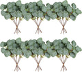 40 Pcs Artificial Eucalyptus Stem, Fake Silver Dollar Eucalyptus Leaves Stems Bulk Real Touch Faux Leaf Branches for DIY Bouquets Floral Arrangement Wedding Home Decor