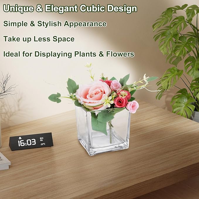 6 Pack 5 x 5 x 5 Inch Square Glass Vases, Clear Square Vases for Centerpiece, Cube Flower Vase for Candle Holder Events Wedding Party Home Decoration