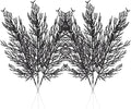 Christmas Glitter Stems 24pcs Artificial Pine Tree Picks for Christmas Tree Ornaments fillers, DIY Xmas Wreath, Crafts, Garland, Holiday, Party, Wedding and Home Decoration (Black)