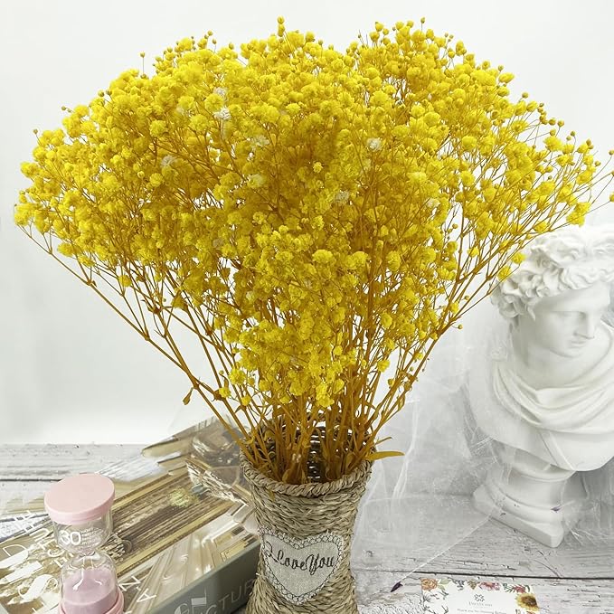 Preserved Baby's Breath, 100% Natrual Gypsophila Long Lasting Flowers for Vase Arrangements Home Decoration Photo Props Parties and Weddings, DIY Décor-Yellow
