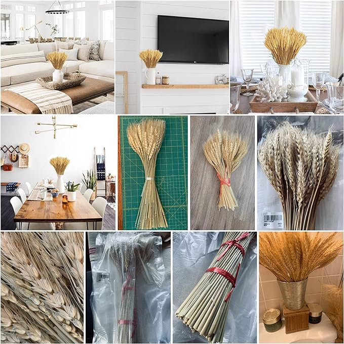 Uieke 17.7 Inches Dried Wheat Stalks, 400 Stems Dried Flowers 100% Natural Wheat for Home Kitchen Wedding Party Table Centerpiece Harvest Wreath Boho Farmhouse DIY Decoration