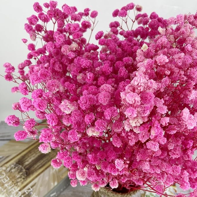 Birtlynn Preserved Baby's Breath, 100% Natrual Gypsophila Long Lasting Flowers for Vase Arrangements Home Decoration Photo Props Parties and Weddings, DIY Décor-Pink