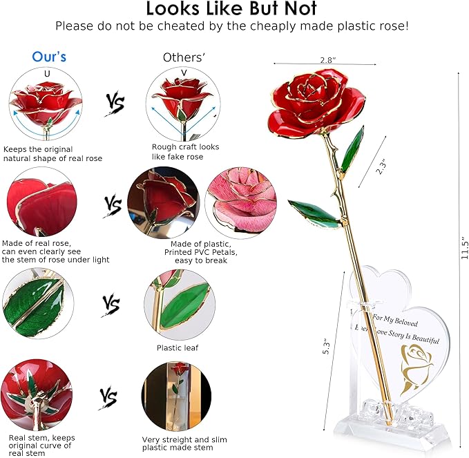 Sinvitron Gold Dipped Infinity Rose Forever Flower Decor, Resin Preserved Real Rose Birthday Gift for Women, Anniversary Present for Mom (Red)