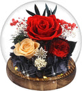 Birthday Gifts for Women Preserved Red Real Rose Flowers in Glass Dome, Forever Rose Gift for her Mom Wife Girlfriend on Christmas Birthday Anniversary