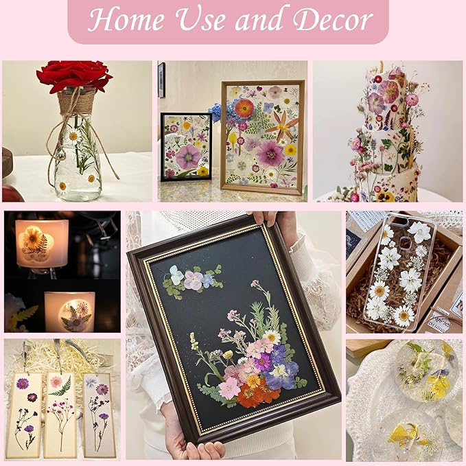 80 Pcs Dried Flowers for Crafts, Real Natural Dried Pressed Flowers in Soft Yellow, White & Pink Tones for Resin, DIY Art, Jewelry, Candle & Soap Making – Tweezers Included