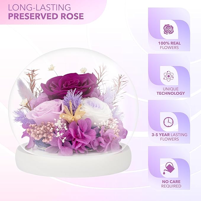 Preserved Flowers - Fresh Flowers Gifts for Women - Birthday Flowers for Delivery Prime Today -Eternal Rose Gifts for her -Real Flowers for Women, Christmas & Mother's Day(Purple)