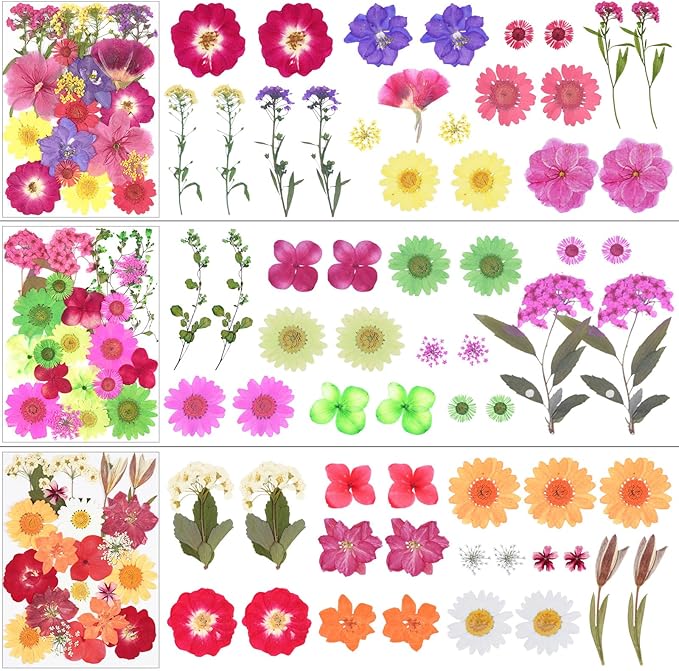 190Pcs Dried Pressed Flowers for Crafts,Xinxinran Dry Flower Kit for Resin Molds,Epoxy Resin Accessories,Bookmark,Nails, Jewelry Molds,Candle Making Supplies,Soap,Frame(Bright Color)