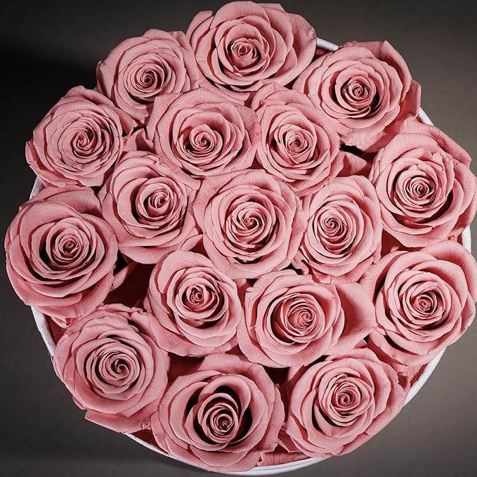 17 Flowers in a Luxury Suede Box, Birthday Gifts for Women, Preserved Flowers, Mothers Day Roses Gift for Mom, Dusty Rose